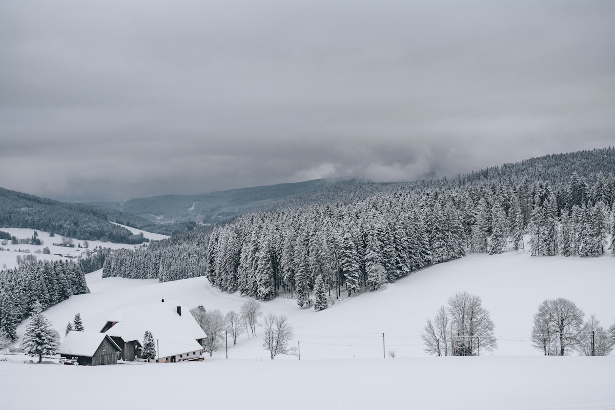 Winter landscape in the Upper Peninsula